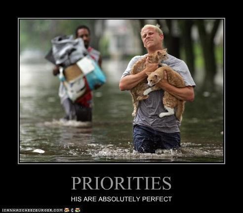 People Saving Animals Compilation  Shut Up I'm Talking